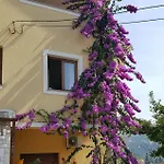 Jasna オパティヤ